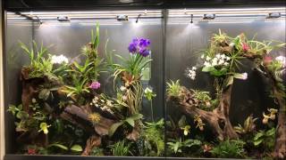 Vivarium Terrarium Orchidarium Orchidejos lt 2017 07 14 [upl. by Mond126]