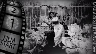 The Cabbage Fairy 1896 quotLa fee aux chouxquot by Alice Guy Blaché [upl. by Yntrok]