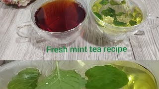 Mint Tea Recipe🍵☕ Fresh Mint Leaves Organic [upl. by Nnylrefinnej659]