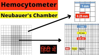 Hemocytometer  Neubauer chamber  RBC count  WBC count  Cell Count  Calculation  Hindi mlt [upl. by Ahidam]