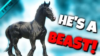 This Horse Is Unique Raven Black Shire OVERVIEW  RDR2 [upl. by Luy291]