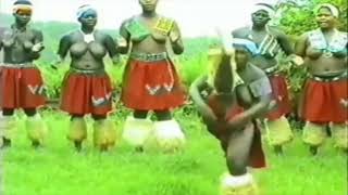 South Africa Zululand Zulu dancing [upl. by Nealson150]