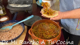 Asi Hago Una Sabrosa Tinga De Nopalitos Barata De Mi Rancho A Tu Cocina [upl. by Girardo]