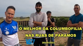 Columbofilia  Família Columbófila  Praia de Paramos Abril 2023  VL21 [upl. by Melak479]