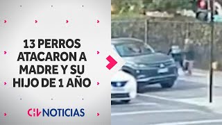 JAURÍA DE 13 PERROS atacaron a madre con su hijo de un año Culpan a dueños de los animales [upl. by Enelrahc]