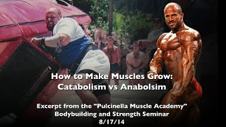 How to Make Muscles Grow Catabolism vs Anabolism [upl. by Lj285]