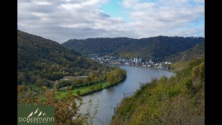 BuchsbaumWanderweg und Burg Eltz 2024 [upl. by Labinnah]