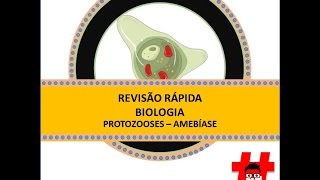 Revisão rápida  protozooses amebíase [upl. by Fernand986]