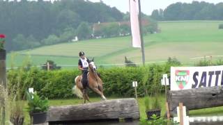 Sandra Moser  Adonis 4  Haflinger L  St Martin 2016 [upl. by Aislehc948]