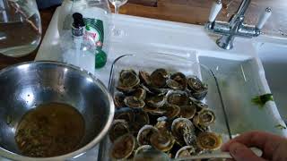 UK limpets picking cooking and eating [upl. by Melosa209]