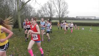 Under 13 Girls South of England Inter Counties Championships 10122016 [upl. by Haleak963]