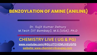 Benzoylation of Aniline Amines [upl. by Nerek371]