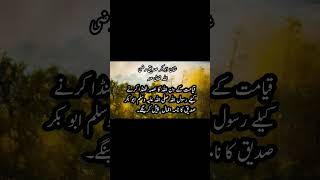 ASHAB E MUHAMMAD SAW HAQ KY WALIshortvideo abubakar usman ali umar [upl. by Ehud672]