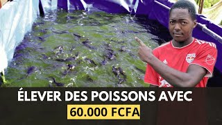 Comment DÉBUTER votre PROJET de PISCICULTURE avec 60000 FCFA en AFRIQUE  Je vous dis tout [upl. by Perl]