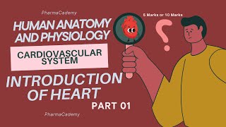 Cardiovascular System Anatomy  Heart  Bpharm1st sem [upl. by Chouest]