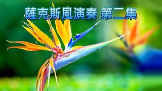 薩克斯風演奏 第二集綠島小夜曲 淚的往事 星星知我心 情難守 [upl. by Sorensen]