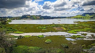 SITUAÇÃO DA REPRESA DE FURNAS  NÍVEL EM MARÇO DE 2024 [upl. by Dehsar]