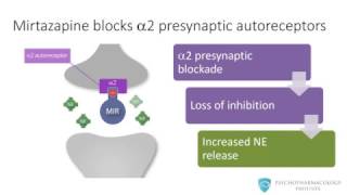 Mirtazapine From Mechanism to Clinical Applications [upl. by March626]