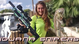 Lets go Iguana Hunting with a Pellet gun  Iguana Snipers 131 [upl. by Garzon]