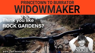 Princetown to Burrator Mountain Bike Route  The Widowmaker [upl. by Enogitna]