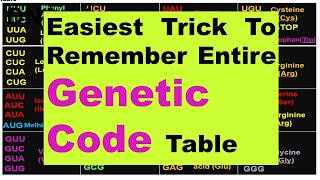 Simplest Mnemonic  Trick for Genetic Codons  Genetic Codes of Amino Acids  Dr Ghanshyam Jangid [upl. by Rhonda]