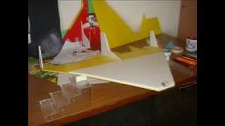 Home made RC Delta Plane [upl. by Annal]