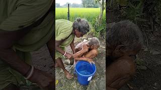 Old age couple life 😟 oldage poor couplelife villagelife rurallife love dukhinimayerjibon [upl. by Keegan]