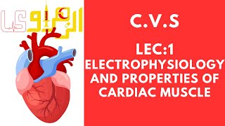 CVS 1st lec electrophysiology and properties of cardiac muscles [upl. by Inafetse]