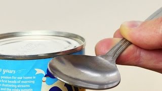 How to Open a Can in an Emergency  Life Hack [upl. by Eiddet643]