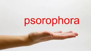 How to Pronounce psorophora  American English [upl. by Kimball]