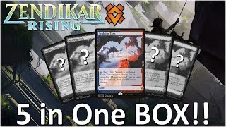 HOW IS THIS POSSIBLE  5 Expeditions in ONE Box  Zendikar Rising Collector Booster Box Opening [upl. by Ney]