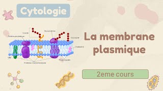 Cytologie  la membrane plasmique  cours de 1er année médecine [upl. by Sremlahc]