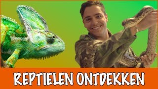 Een reptiel adopteren  DierenpraatTV [upl. by Marozas]