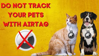 Can You Use AirTag for Cats and Dogs Is It Safe Apple Airtag for Pets Review amp Alternatives [upl. by Rosella]