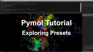 Pymol Tutorial Exploring Presets [upl. by Ilek]