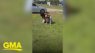 Owners reunite with dog 2 years after she went missing [upl. by Rodoeht563]