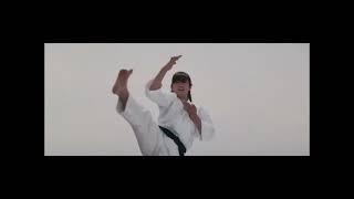 Etsuko Shihomi Kata 🔥🔥🔥🔥 Sister Street Fighter Etsuko Shihomi Karate Opening Scene mp42 [upl. by Berliner412]