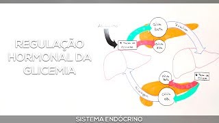 Insulina e Glucagon Regulação hormonal da glicemia [upl. by Eecats41]