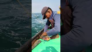 Fishing Cutting ✂️ Telugu Fishing Videos telugushorts amarboat fish [upl. by Nilyad836]