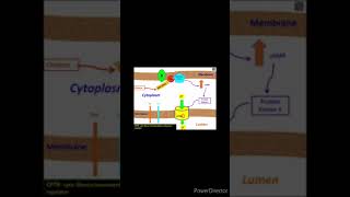 Cholera toxin and Gproteins DrAJGhalayini [upl. by Flossi]