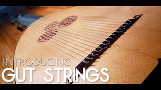 Introducing Gut Strings [upl. by Licna]