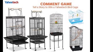 How to Choose Bird Cages [upl. by Odericus]