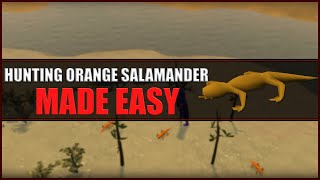 Quick Guide to Hunting Orange Salamander in OSRS  Hunter Guide  Hunters Rumours [upl. by Chin]