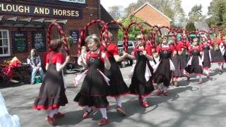 Mayflower Morris Dance Blackadder [upl. by Githens49]