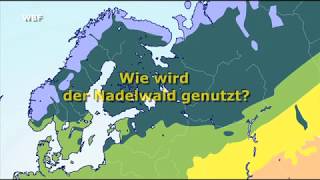 WBF  In der Vegetationszone Nordeuropas  Wie wird der Nadelwald genutzt Trailer [upl. by Fortuna620]