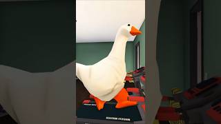 🦆💨💨💨 roblox bloxburg duck shorts [upl. by Yrotciv653]