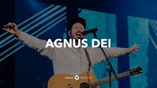 Agnus Dei — Ocean Worship feat Brandon Oaks [upl. by Buonomo305]