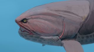 Dunkleosteus  Smaller and Rounder Than Expected [upl. by Lait]