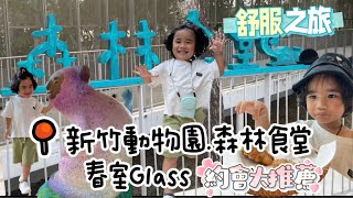 新竹 風城體驗～來新竹吃風！親子景點新竹動物園太好逛  森林食堂邊看動物邊享受美食  春室THE POOL咖啡店還能體驗吹玻璃文青拍照好好看 [upl. by Rasecoiluj773]