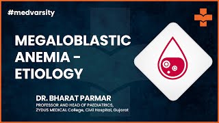 Etiology amp Pathogenesis of Megaloblastic Anemia  Medical Case Discussion [upl. by Rukna559]